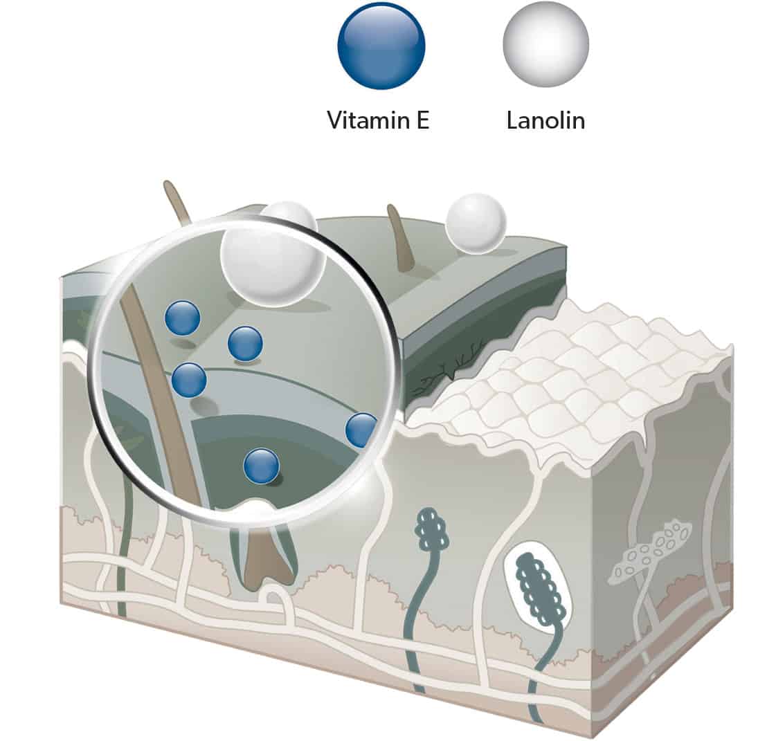 lanolin s vitaminem e